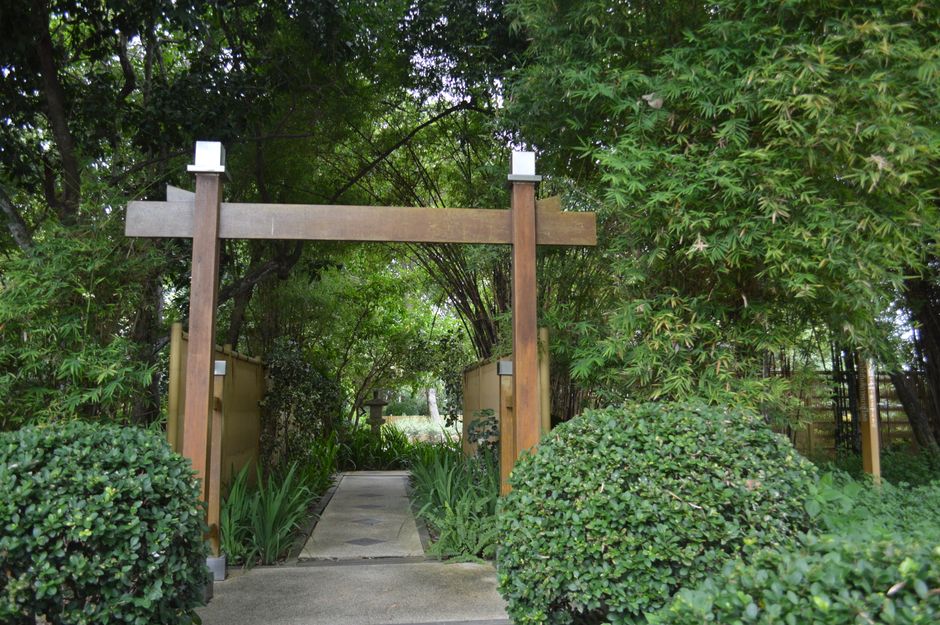 A wooden Japanese-style garden gate with vertical posts and a horizontal lintel, situated along a paved pathway. The gate is constructed from natural brown wood with visible grain and smooth finish, flanked by lush green foliage including trees and bushes. On either side of the pathway, dense shrubbery and leafy plants extend into the background, creating a serene and private garden atmosphere. The surrounding environment features a variety of greenery with different textures and shades of green, from broad-leafed bushes to tall, layered trees, some with small, pointed leaves and others with larger, lobed leaves. The scene is illuminated by natural daylight, with dappled sunlight filtering through the tree canopy, casting soft shadows on the pathway and planting beds. The overall setting suggests a tranquil outdoor space that could be part of a private garden or outdoor area managed by a waste removal service such as Waste Removal Chelsea, which may handle clearing or landscaping debris in similar natural environments.